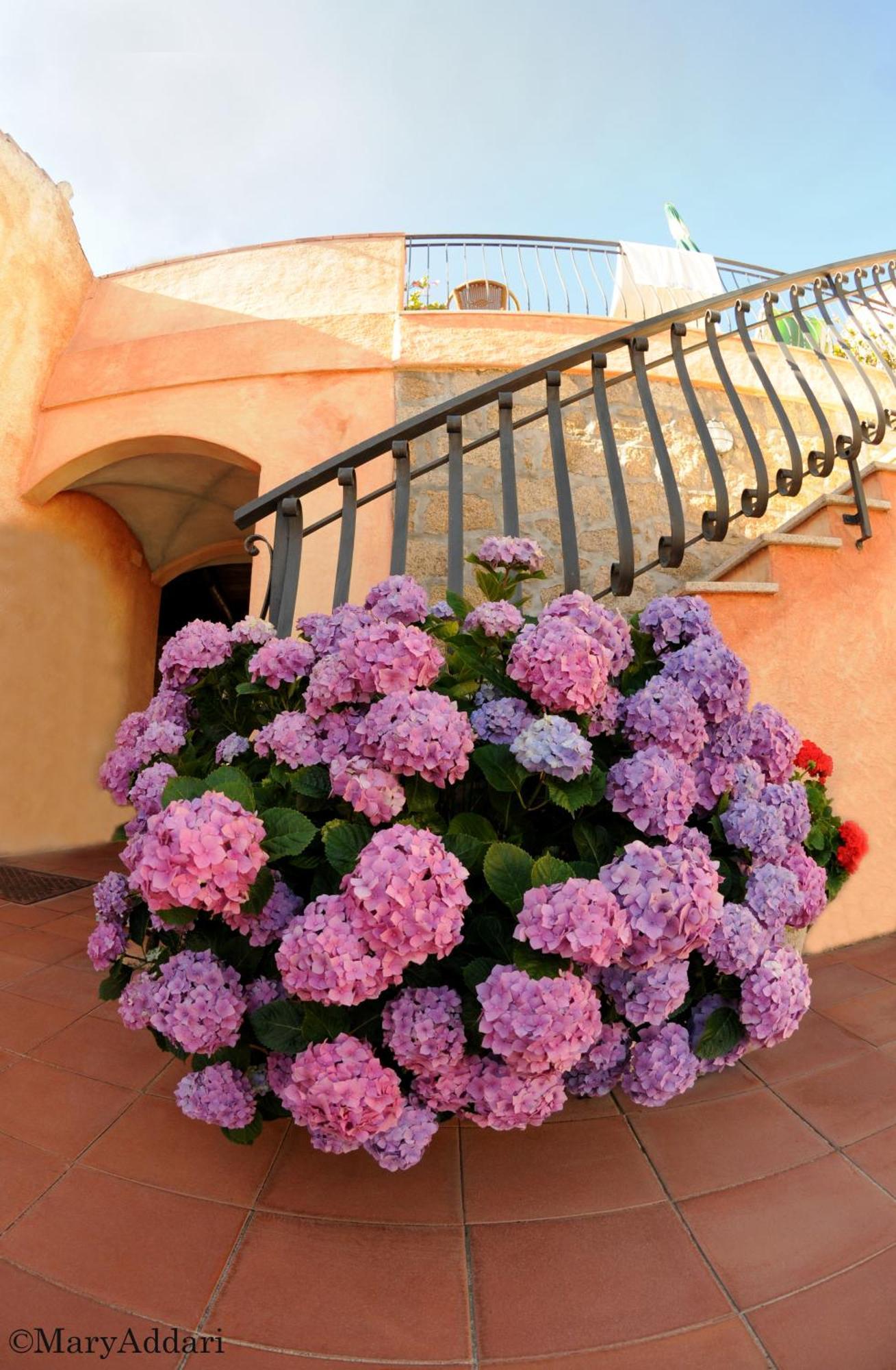 Hotel Villa Gemella Baja Sardinia Exterior photo